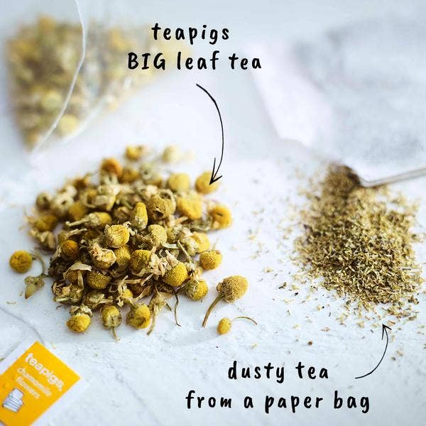 Teapigs Chamomile Flowers Tea- 15 temples